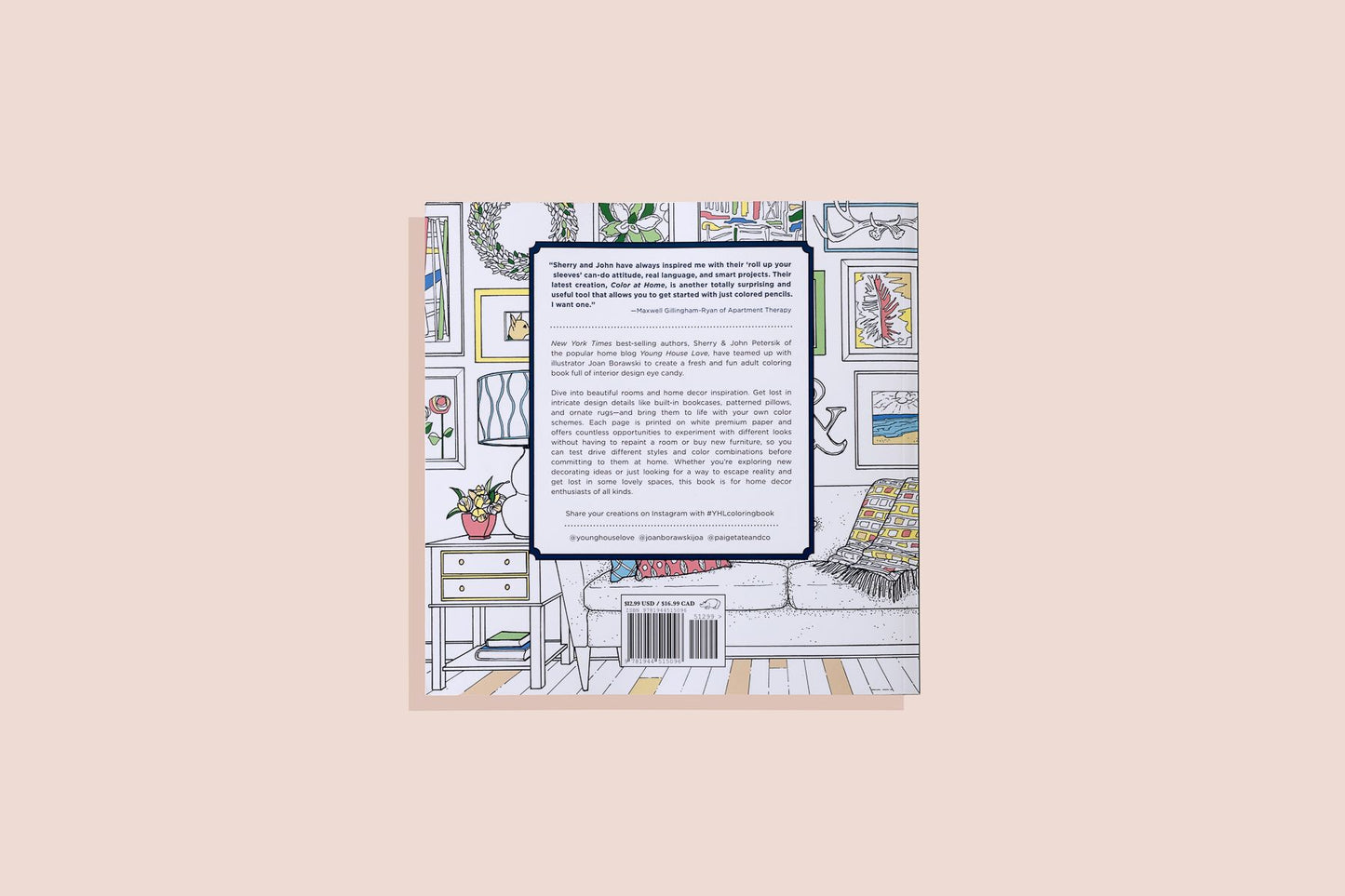 Color at Home: A Young House Love Coloring Book