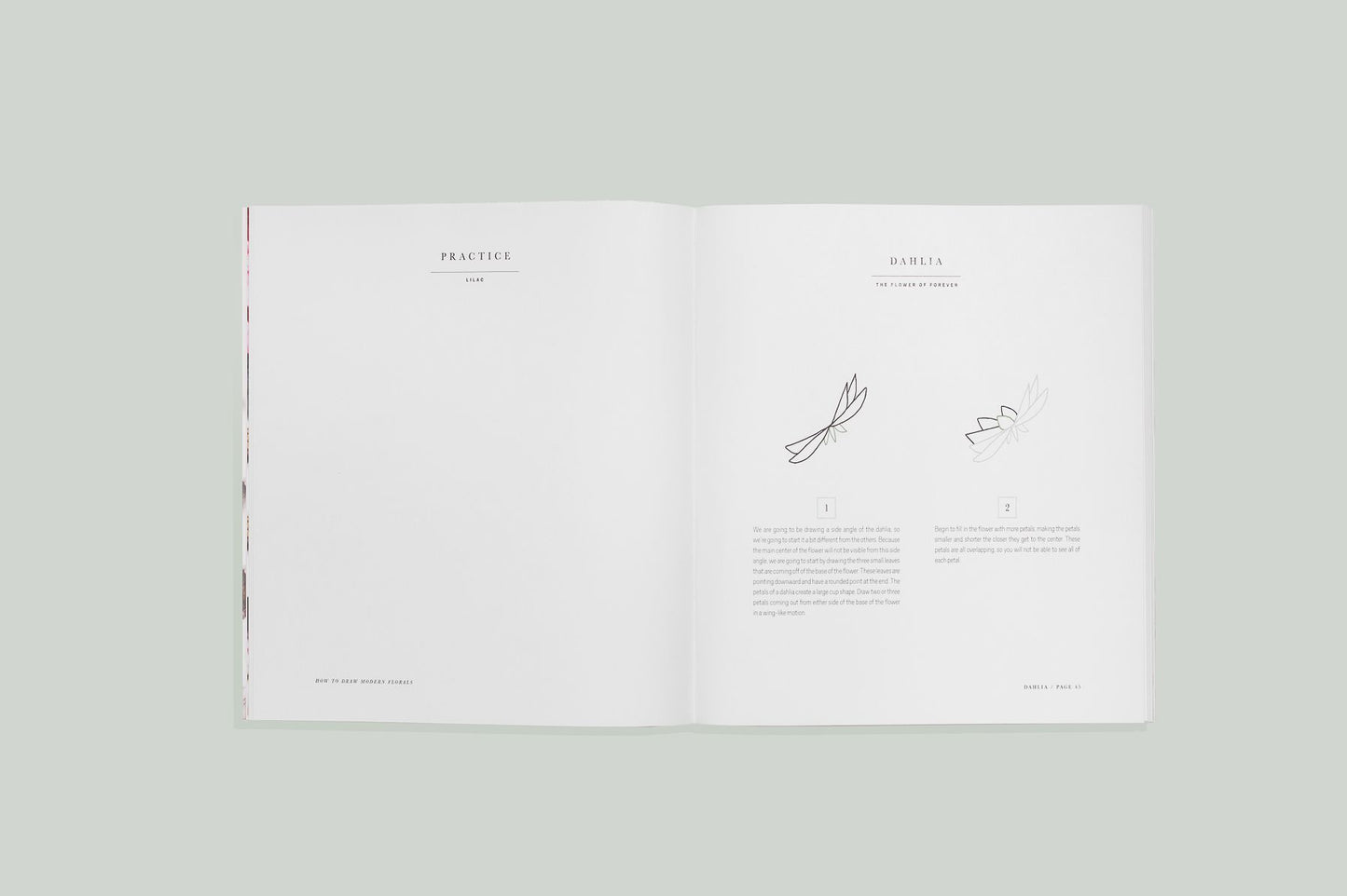 How To Draw Modern Florals: An Introduction To The Art of Flowers, Cacti, and More
