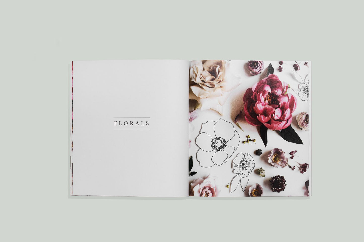 How To Draw Modern Florals: An Introduction To The Art of Flowers, Cacti, and More