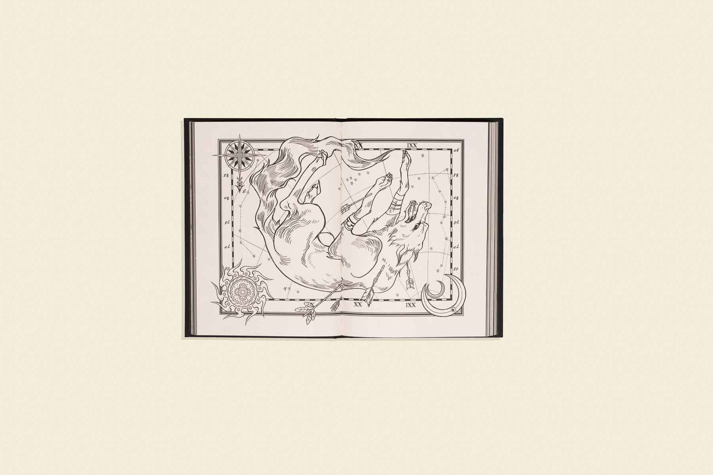 Celestial: A Colorable Zodiac Journal
