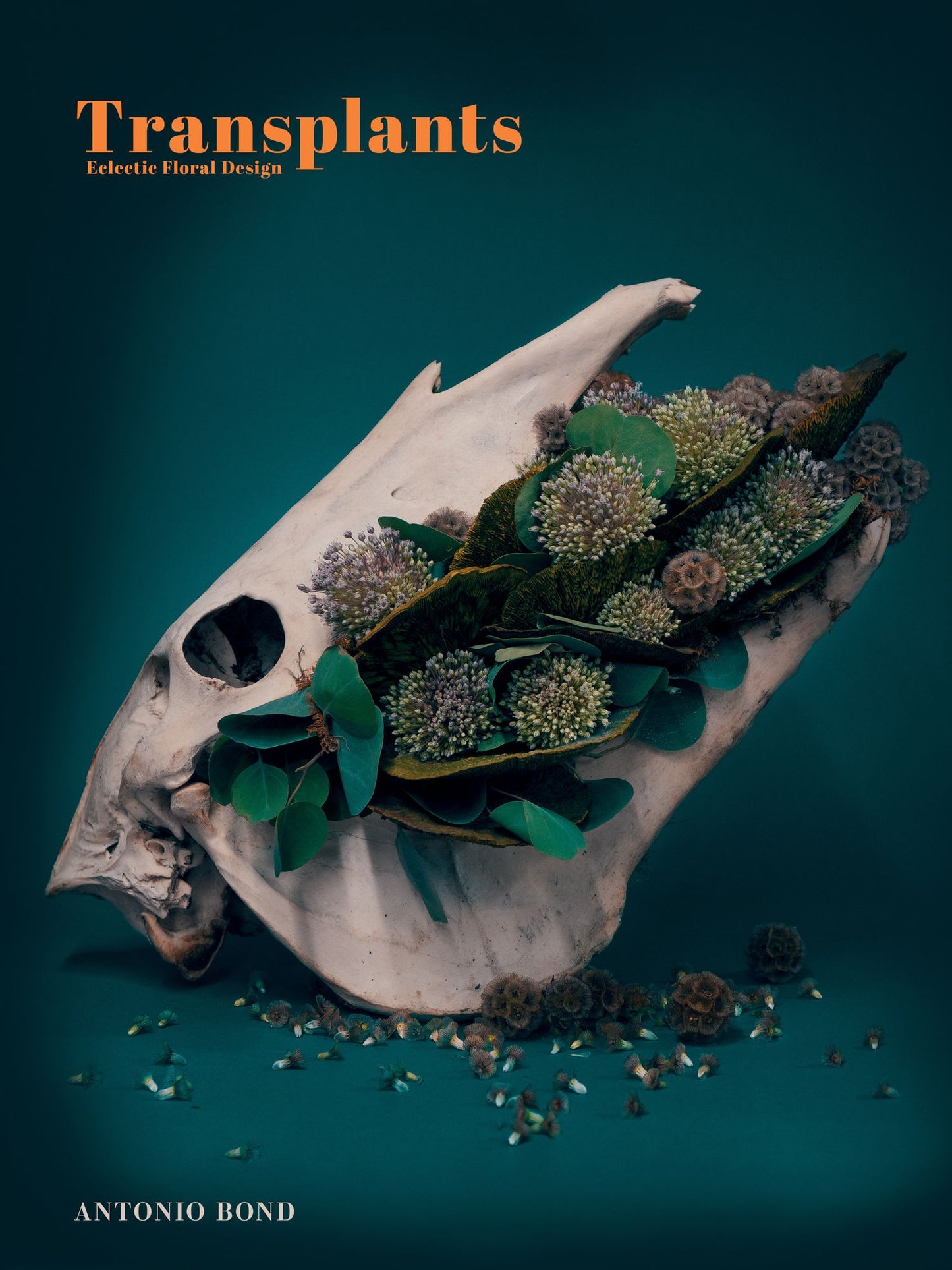 TRANSPLANTS: Eclectic Floral Design