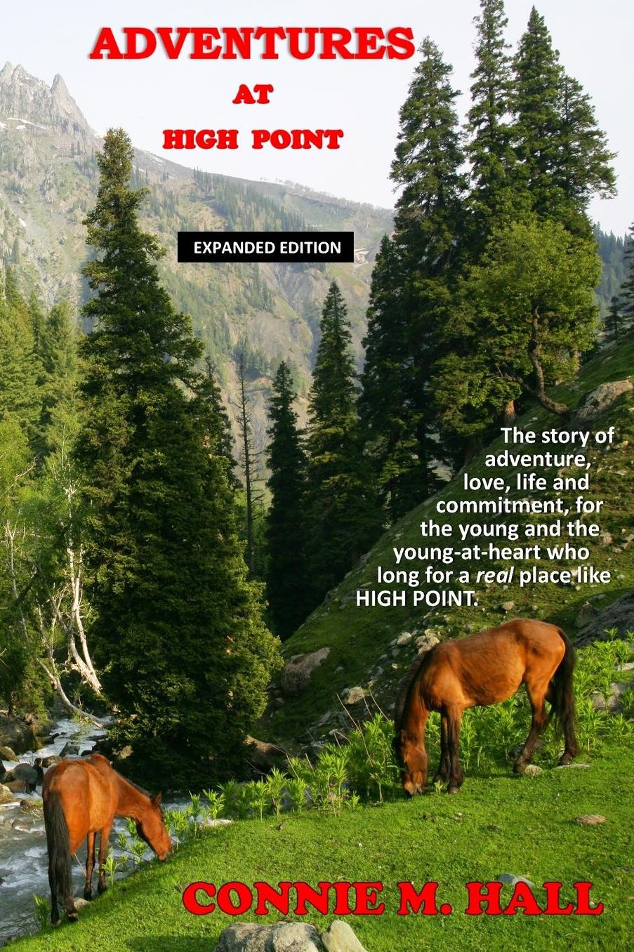 Adventures At High Point, (Expanded Edition): The story of adventure, love, life and commitment, for the young and the young-at-heart who long for a real place like HIGH POINT.