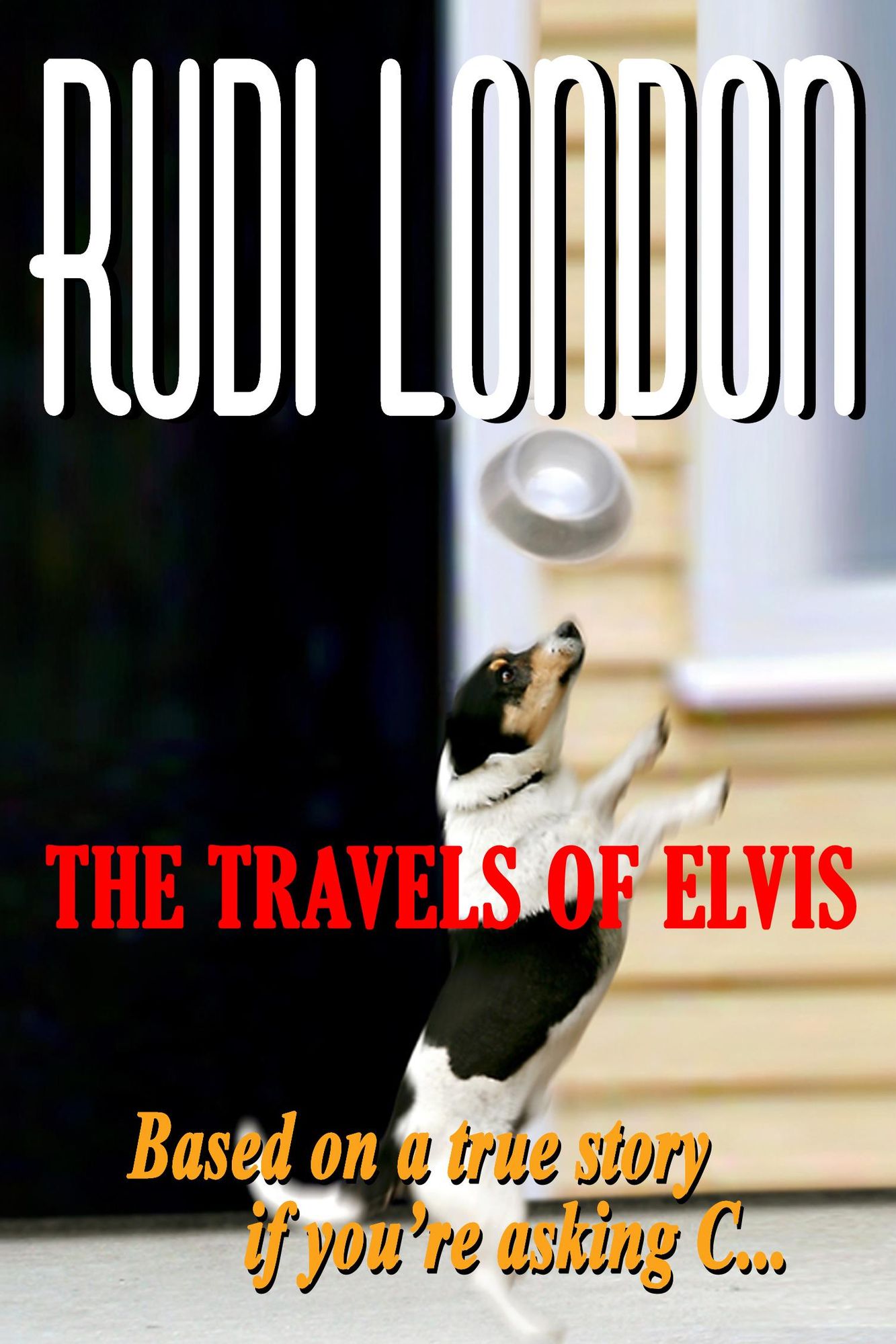 The Travels of Elvis