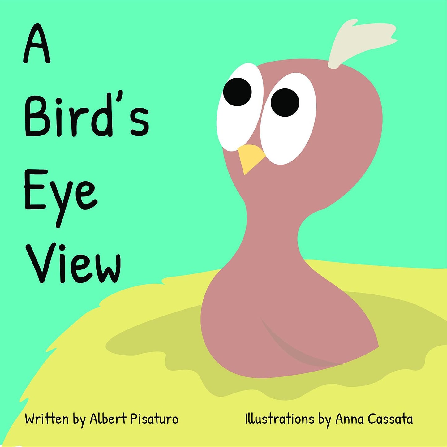 A Bird's Eye View