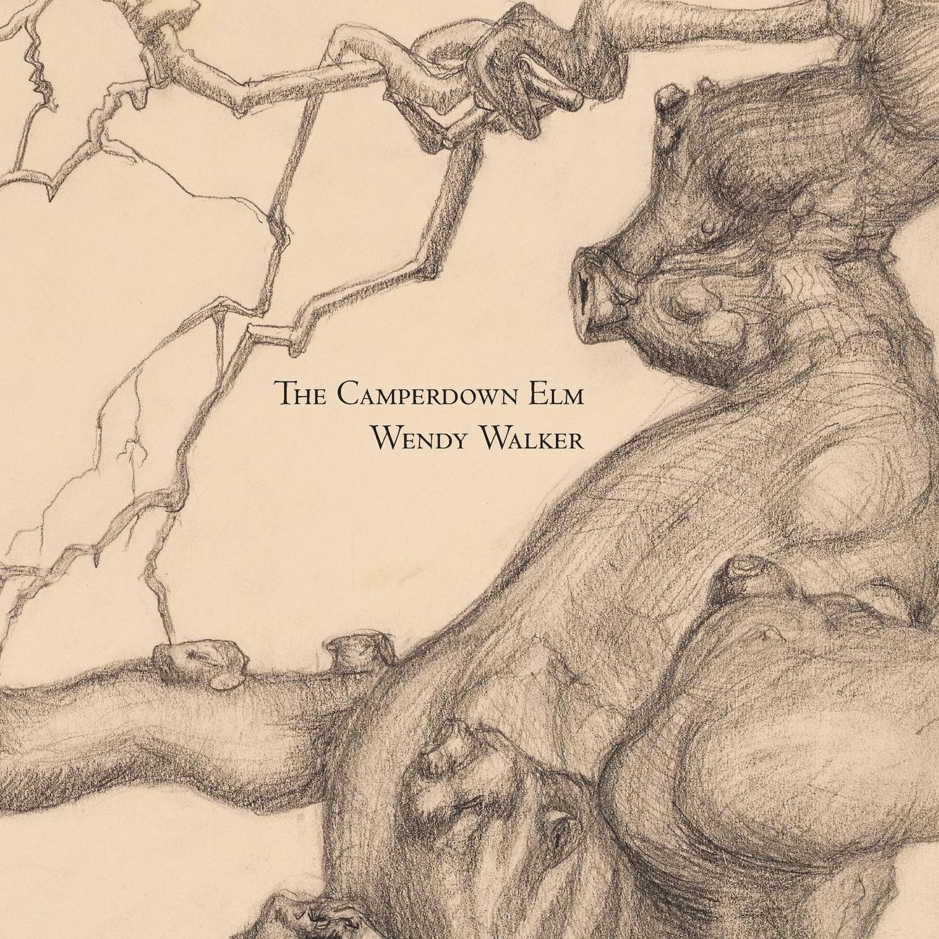 The Camperdown Elm