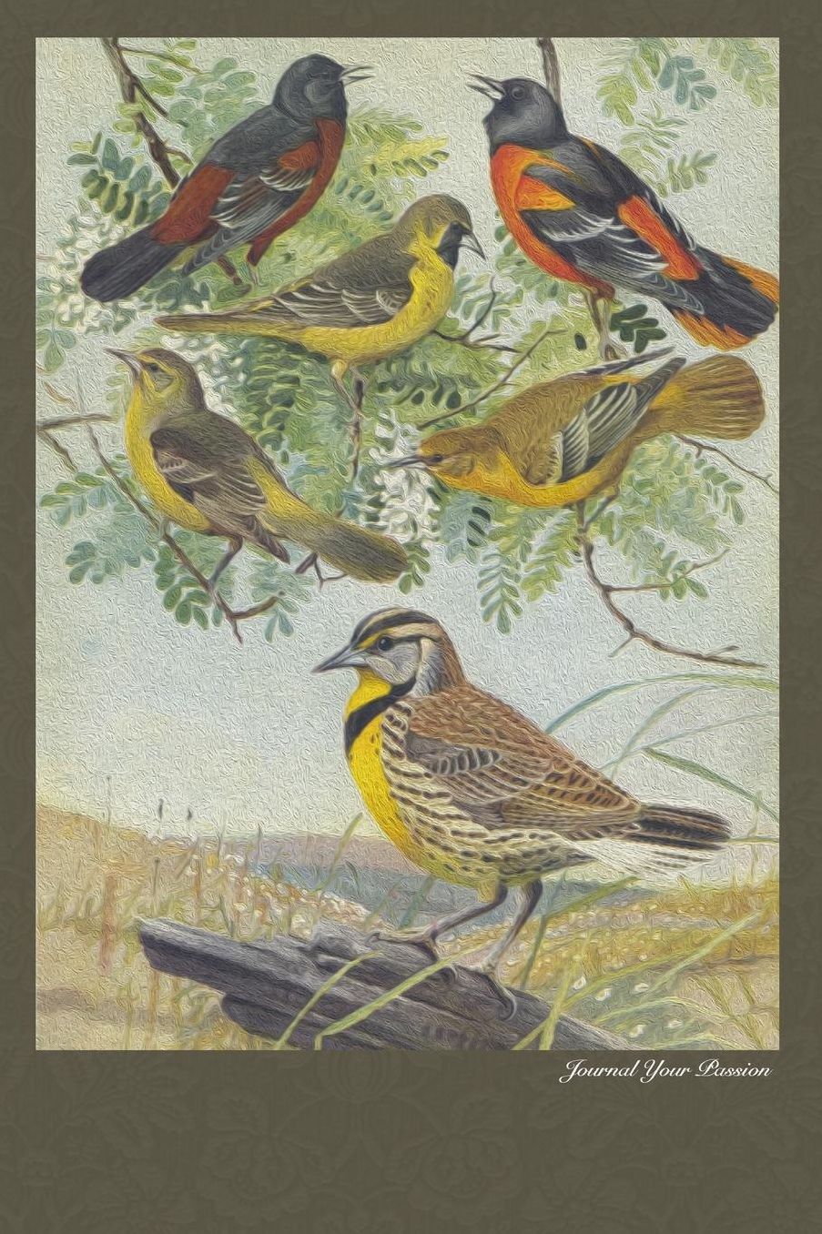 Journal Your Passion: Bird Lovers Series Journals
