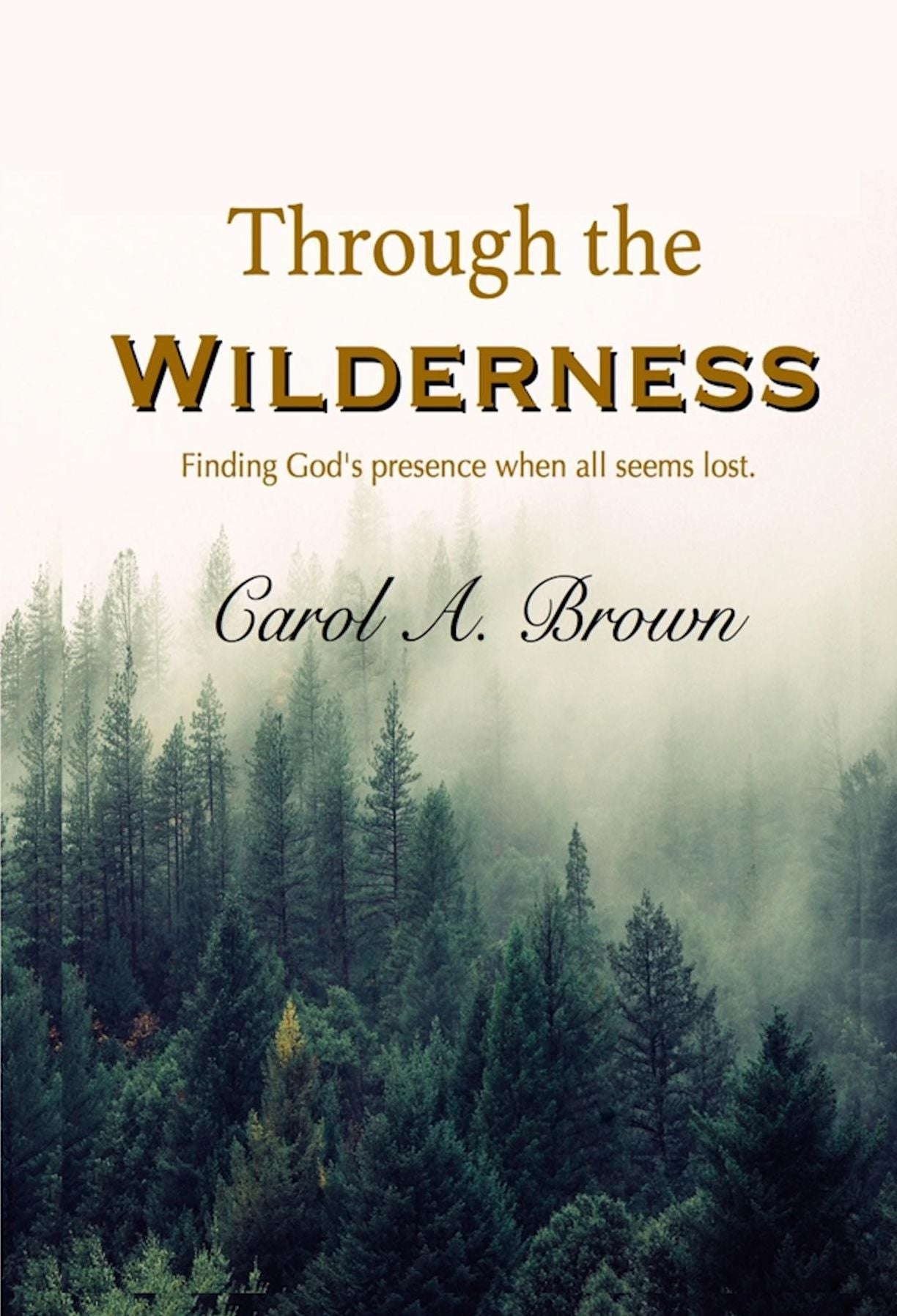 Through The Wilderness: Finding God's Presence When All Seems Lost
