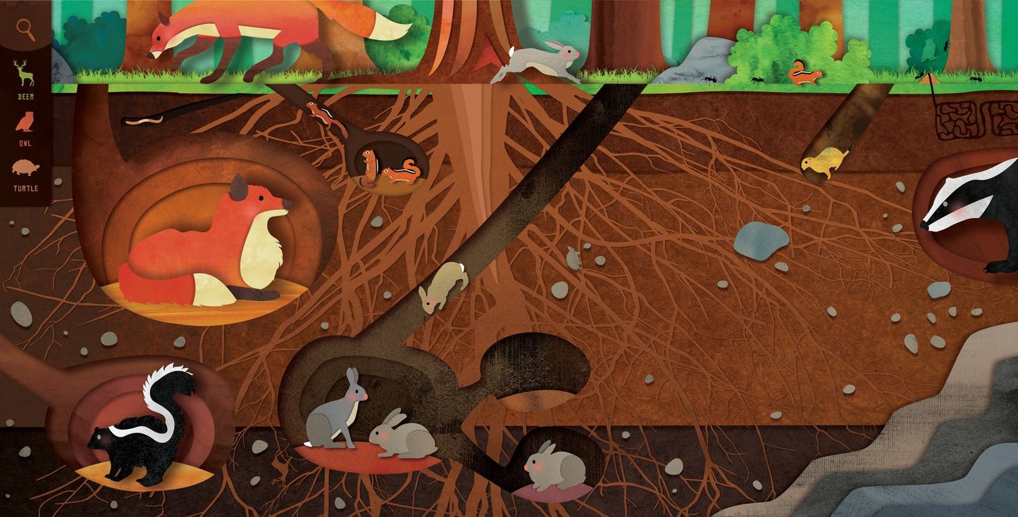 Slide-N-Seek: Earth