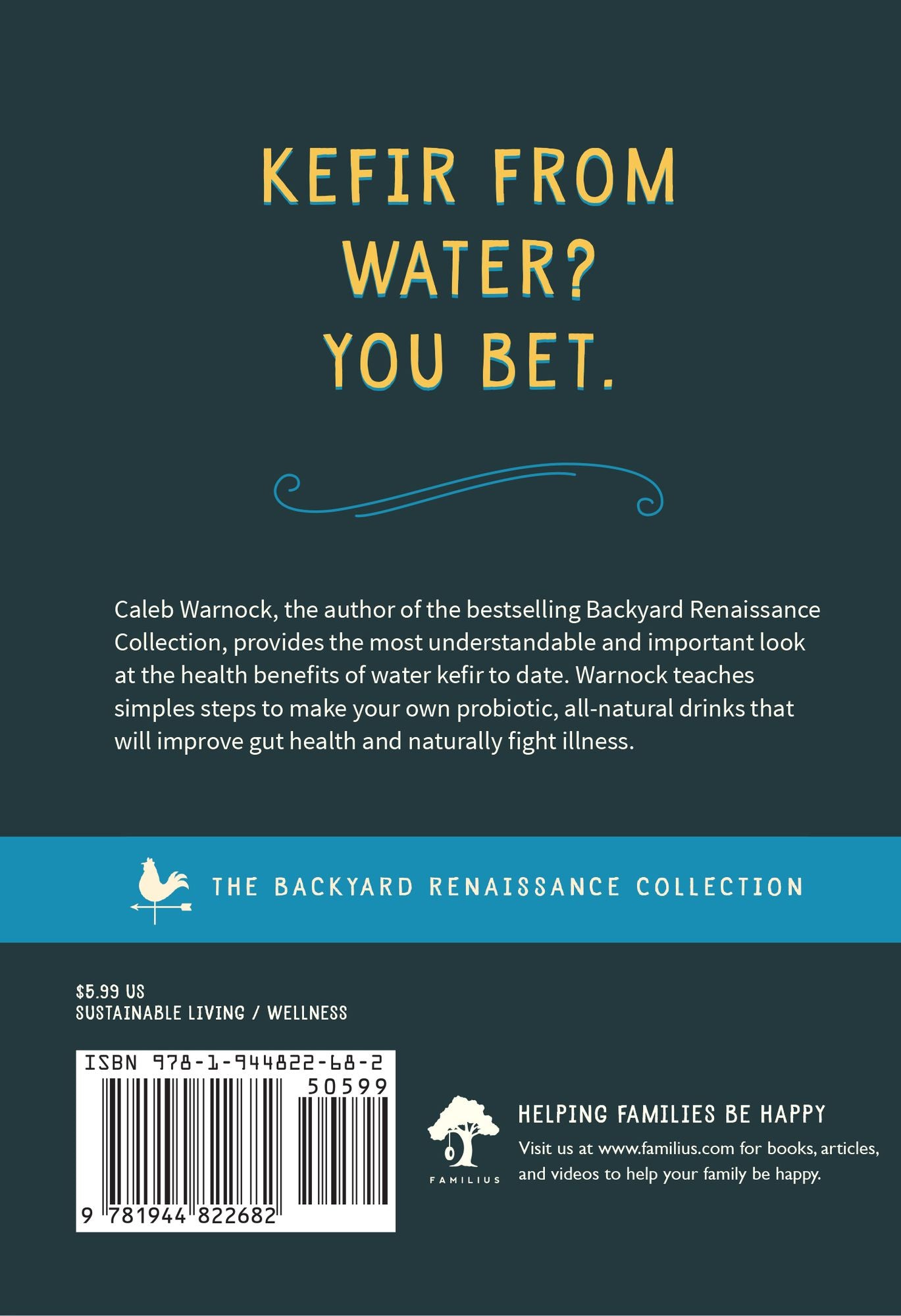 Water Kefir: Make Your Own Water-Based Probiotic Drinks for Health and Vitality