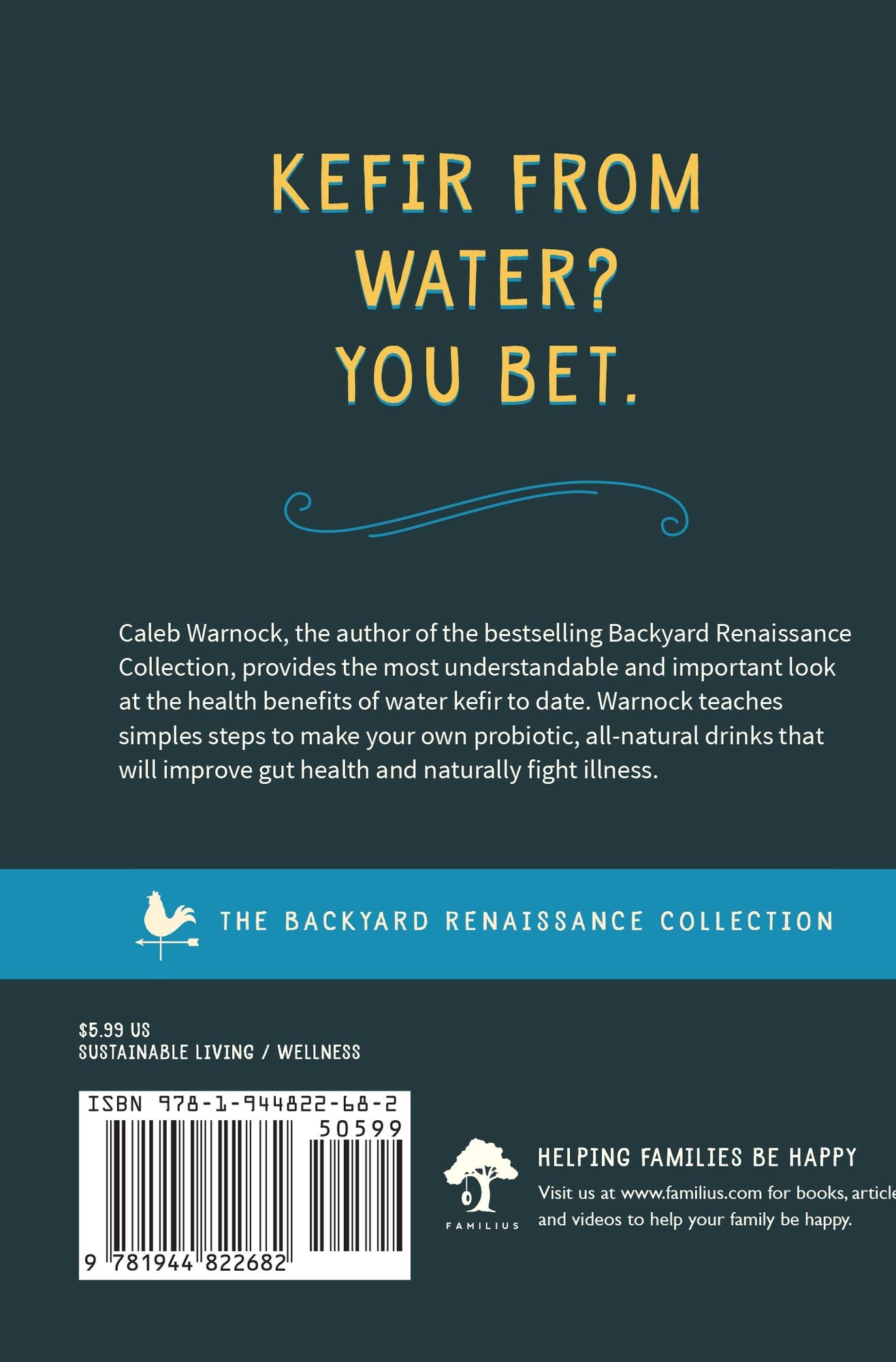 Water Kefir: Make Your Own Water-Based Probiotic Drinks for Health and Vitality