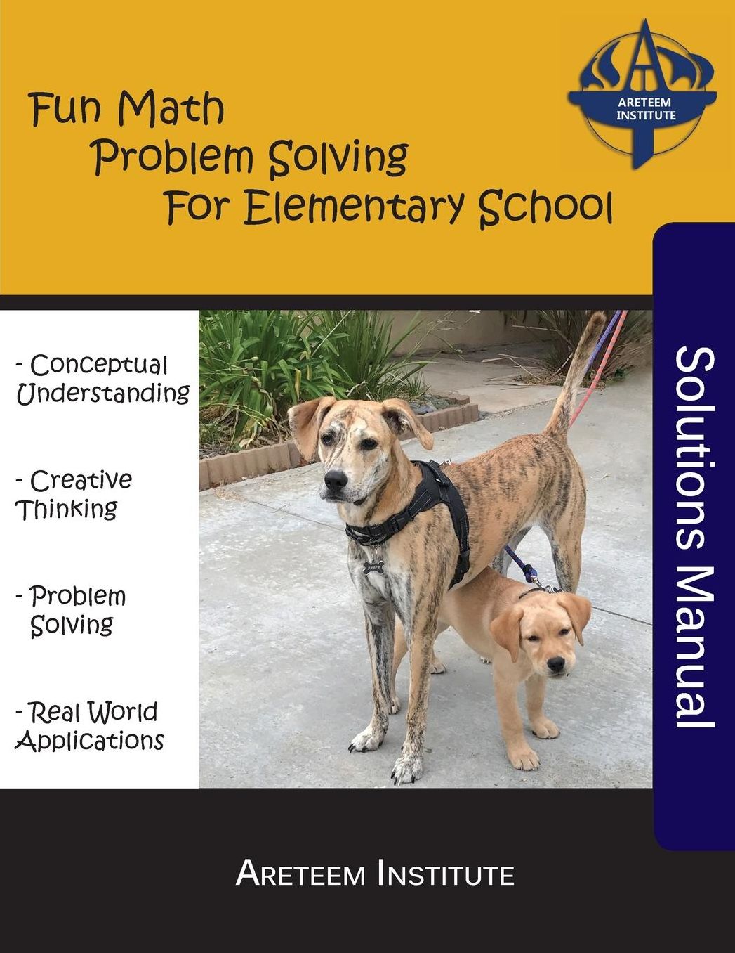 Fun Math Problem Solving For Elementary School Solutions Manual