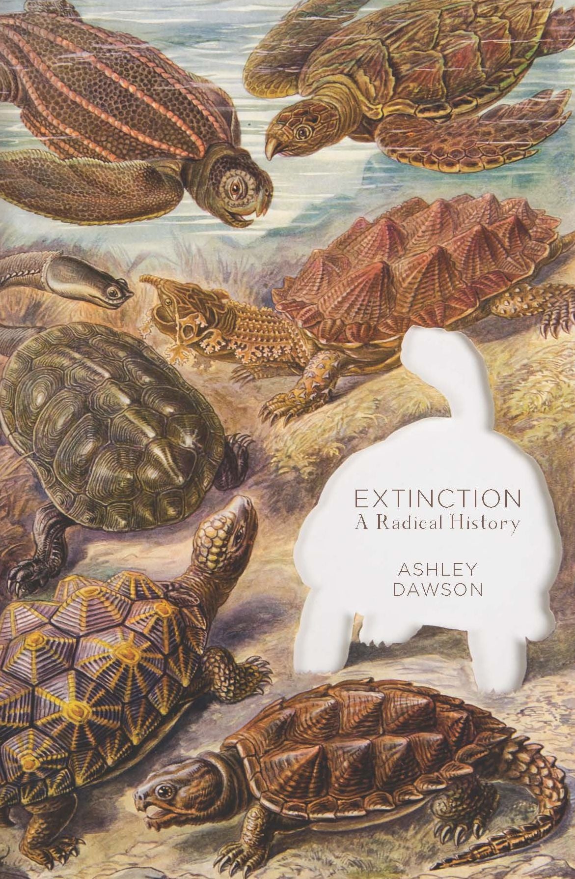 Extinction: A Radical History