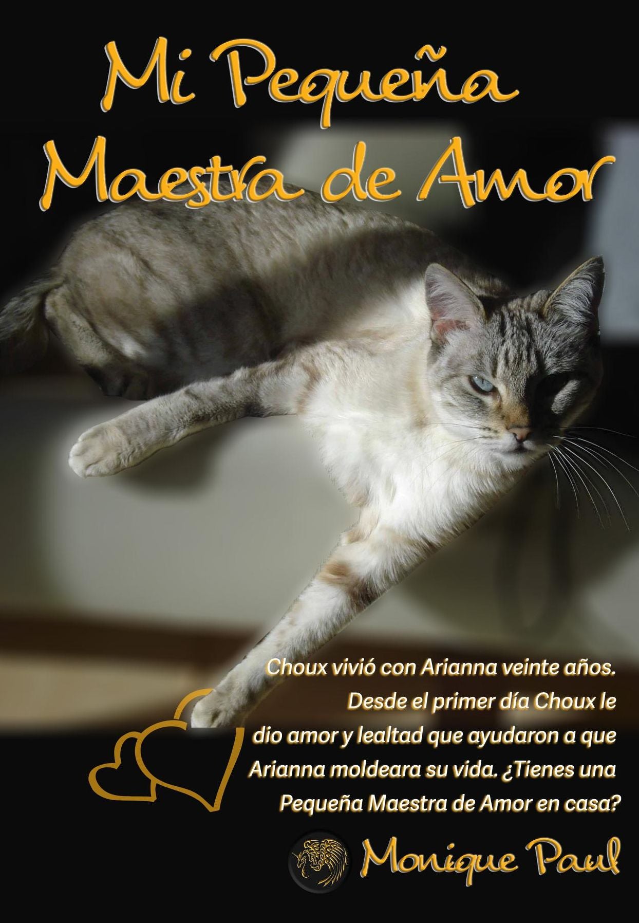 Mi Pequeña Maestra de Amor: Una clase de 19 años y 11 meses