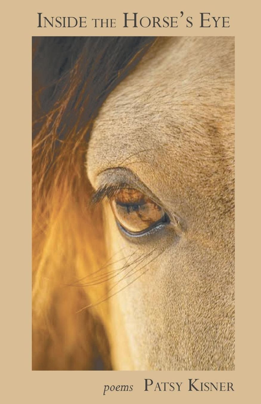 Inside the Horse's Eye