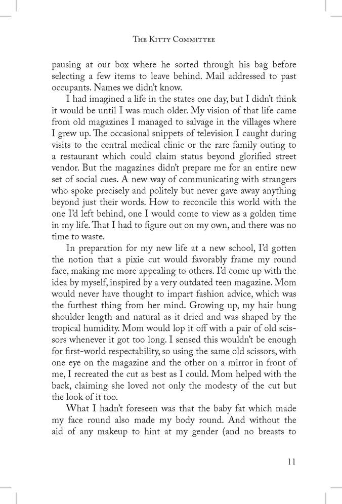 The Kitty Committee: A Novel of Suspense