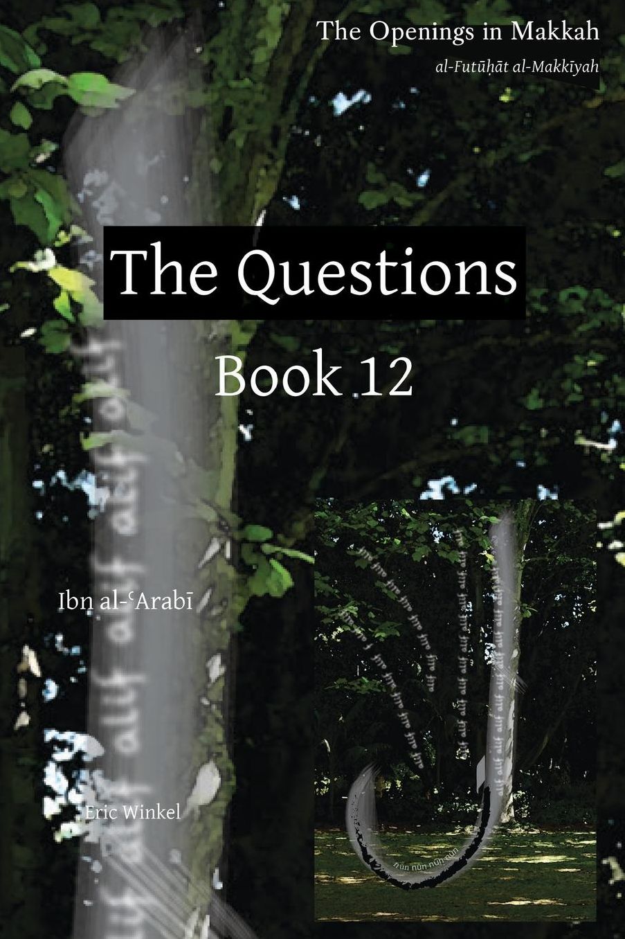 The Questions: Book 12