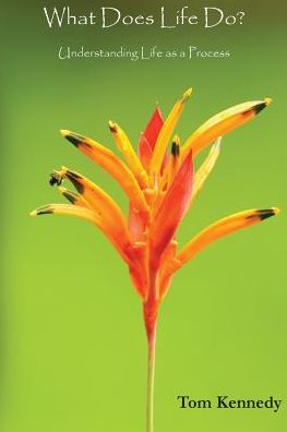 What Does Life Do?: Understanding Life as a Process