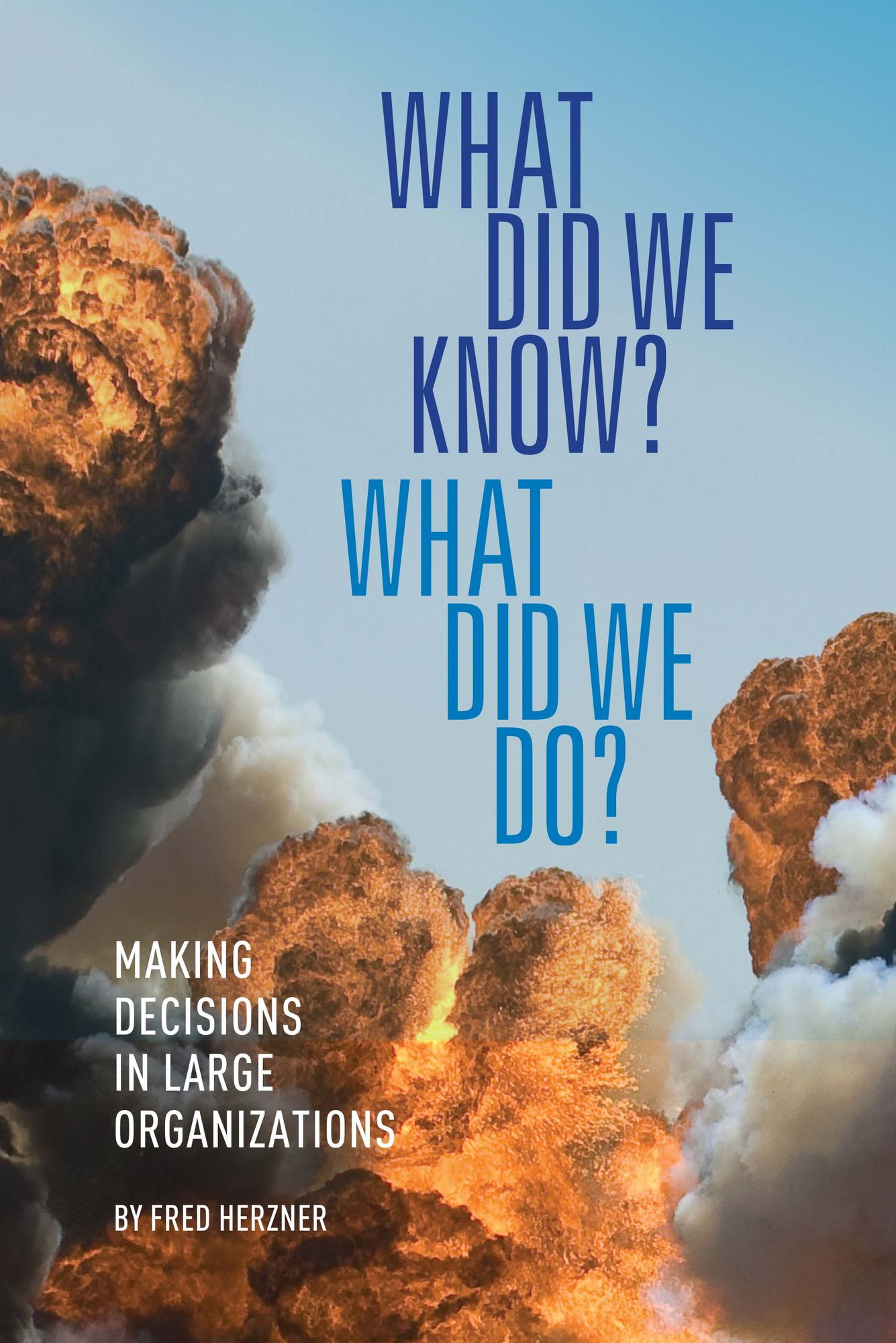 What Did We Know? What Did We Do?: Making decisions in large organizations