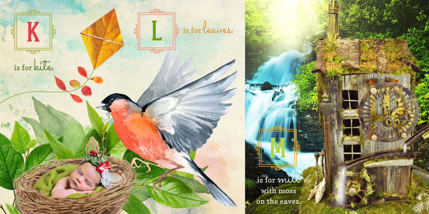 F Is for Fairy: A Forest Friends Alphabet Primer