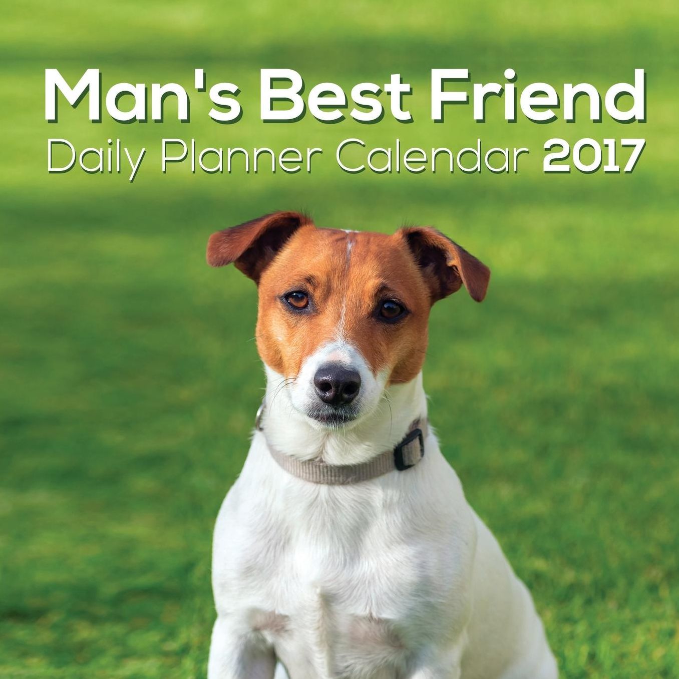 Man's Best Friend: Daily Planner Calendar 2017