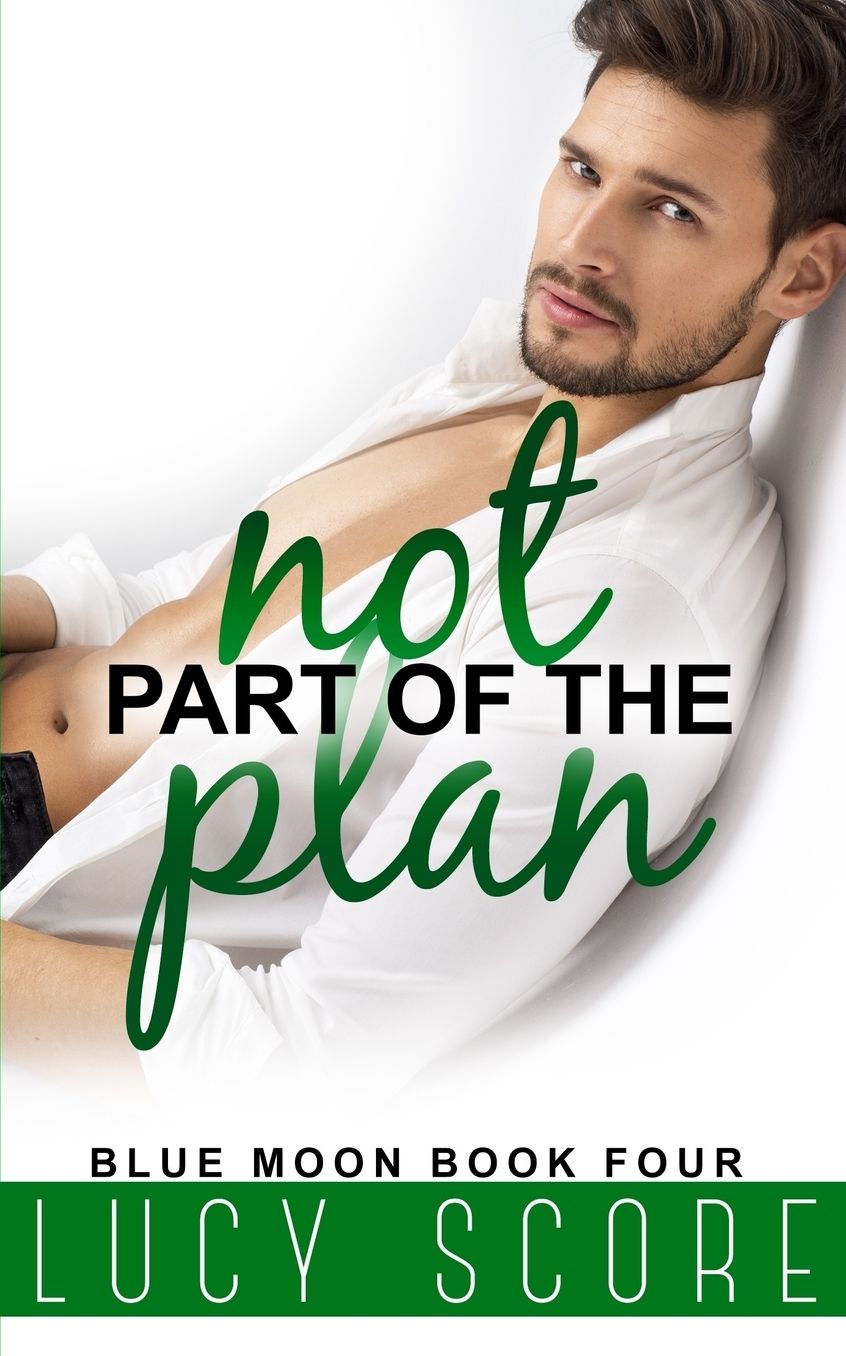 Not Part of the Plan: A Small Town Love Story