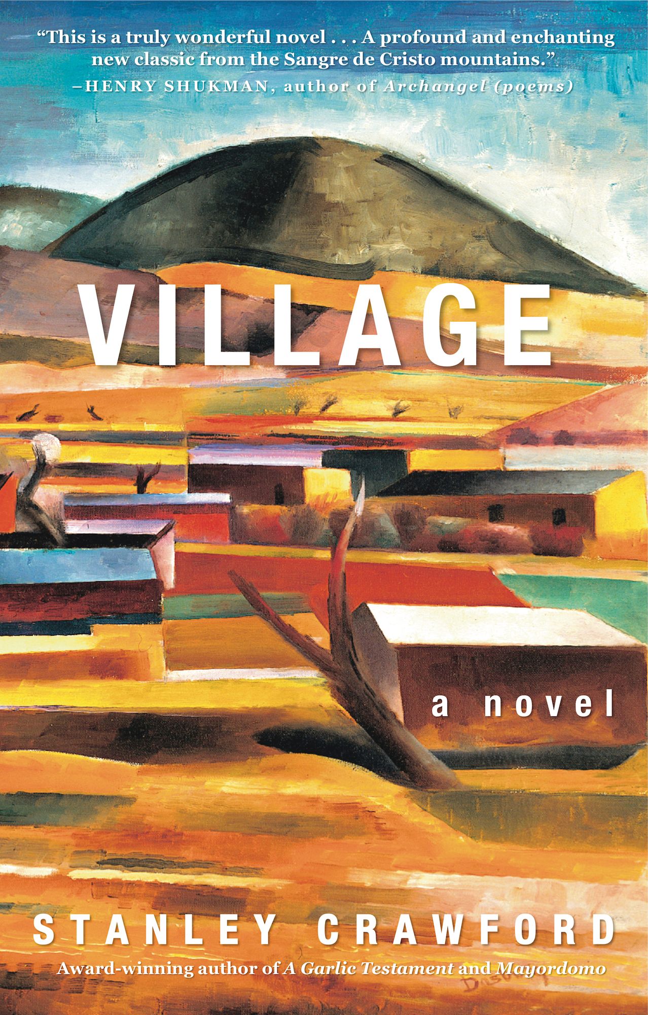 Village: a novel