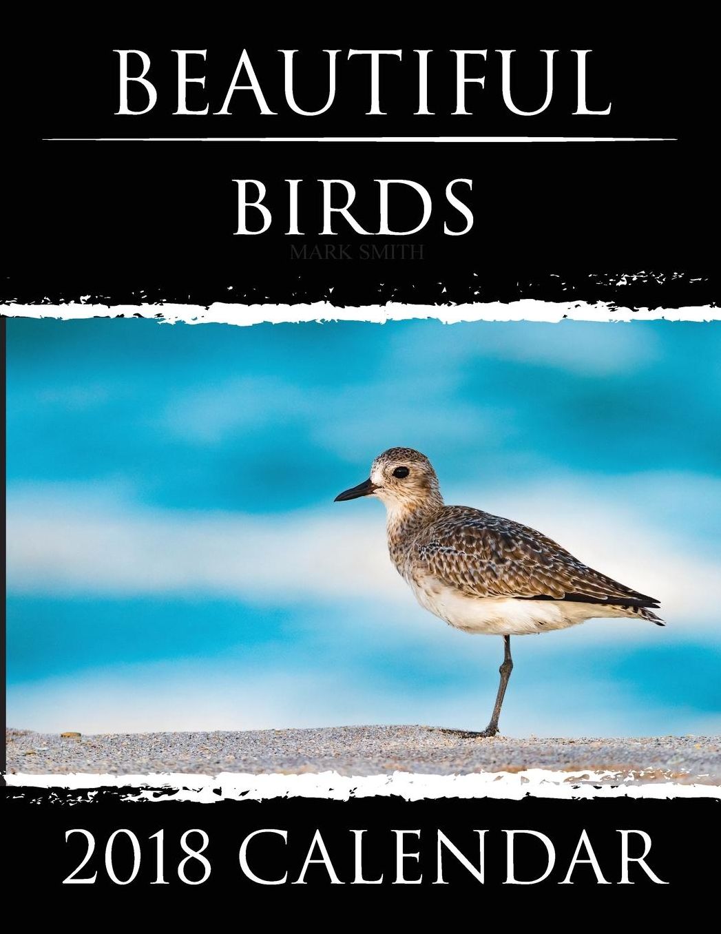 Beautiful Birds - 2018 Calendar