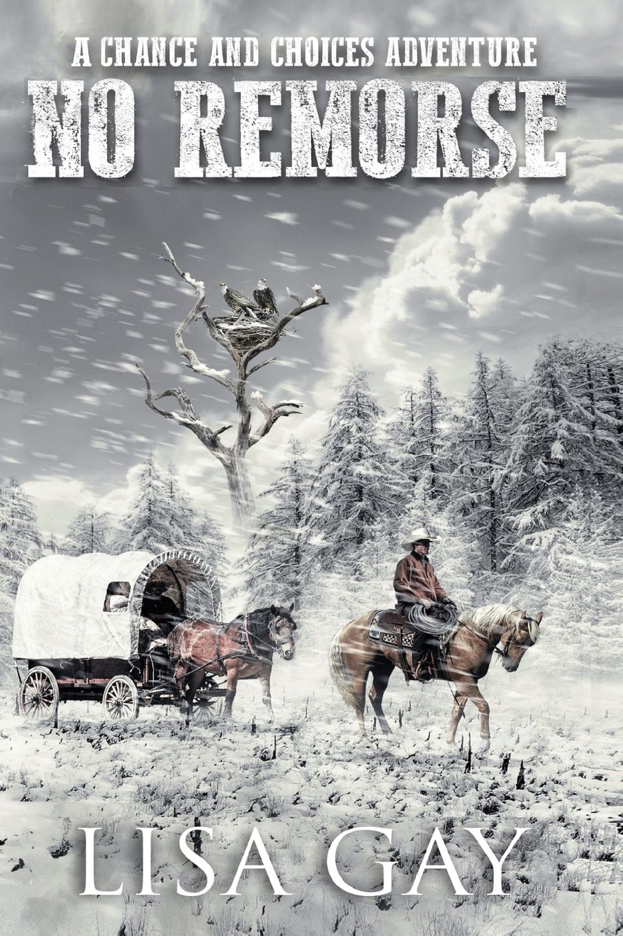 No Remorse_Large Print