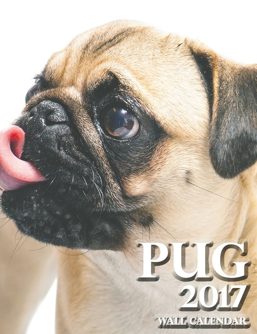 Pug 2017 Wall Calendar