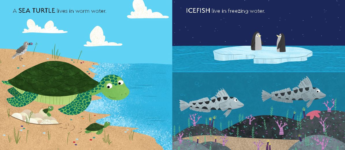 Baby's First Sea Creatures