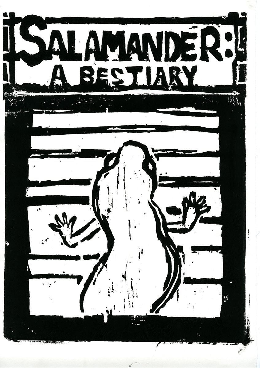 Salamander: A Bestiary