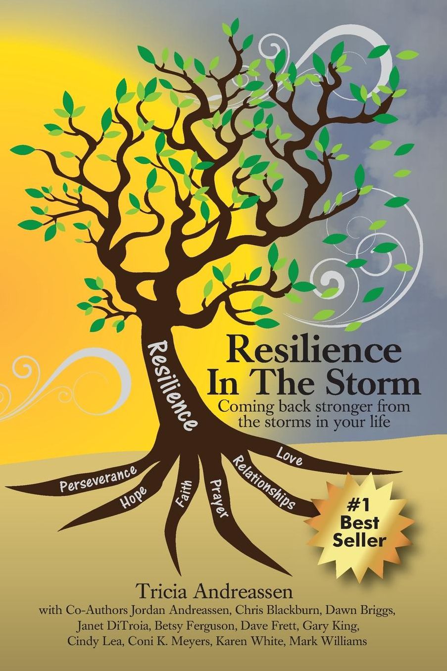 Resilience in the Storm: Coming Back Stronger from the Storms in Your Life