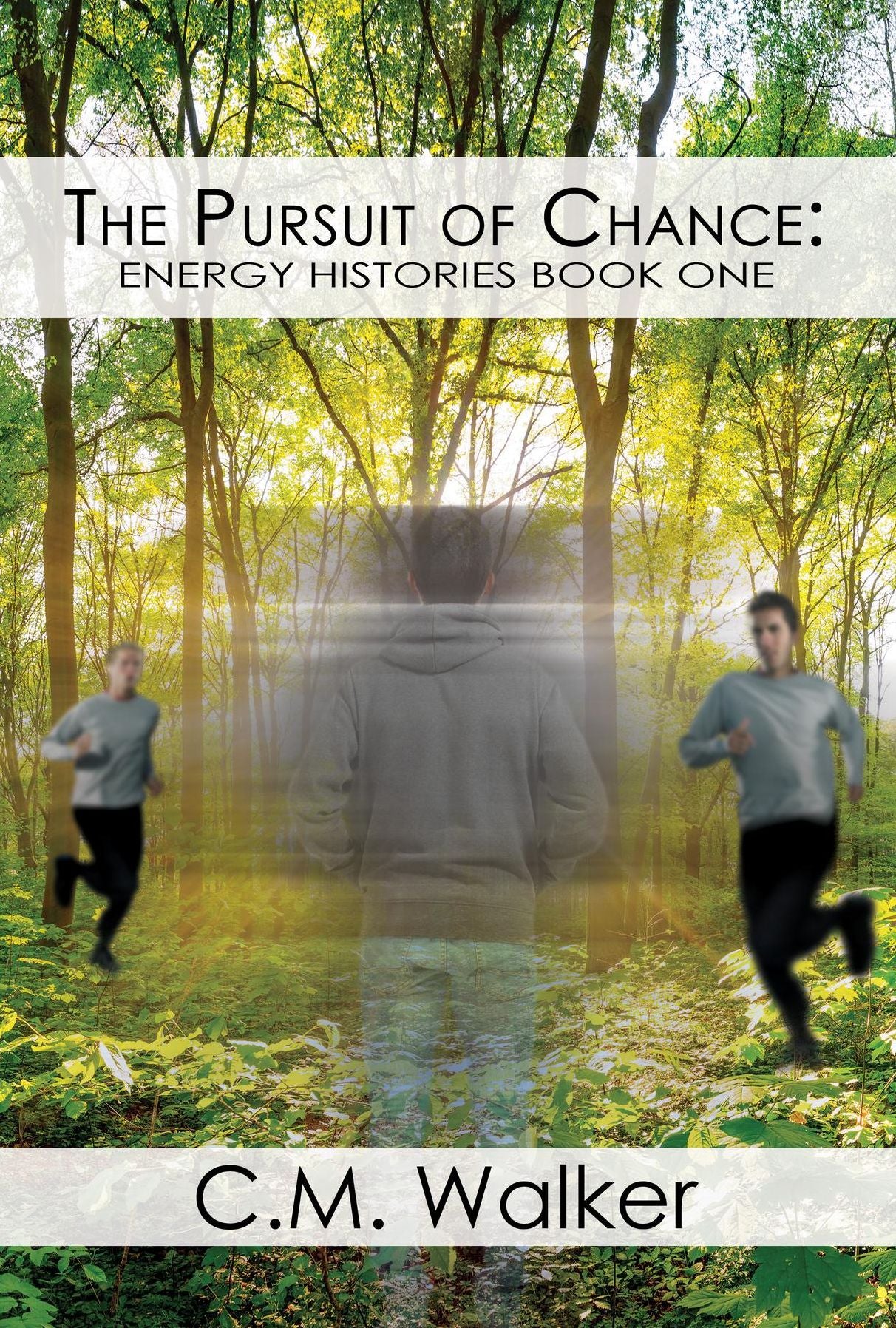 The Pursuit of Chance: Energy Histories Book One