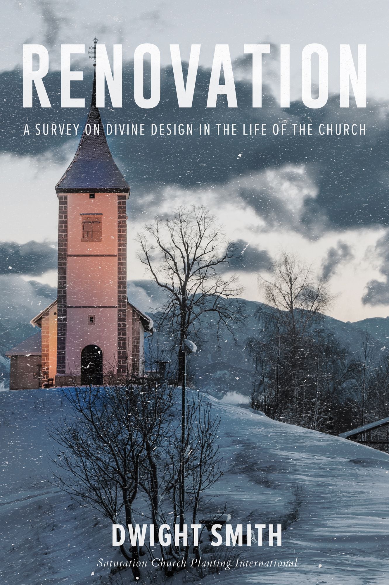 Renovation: A Survey on Divine Design in the Life of the Church