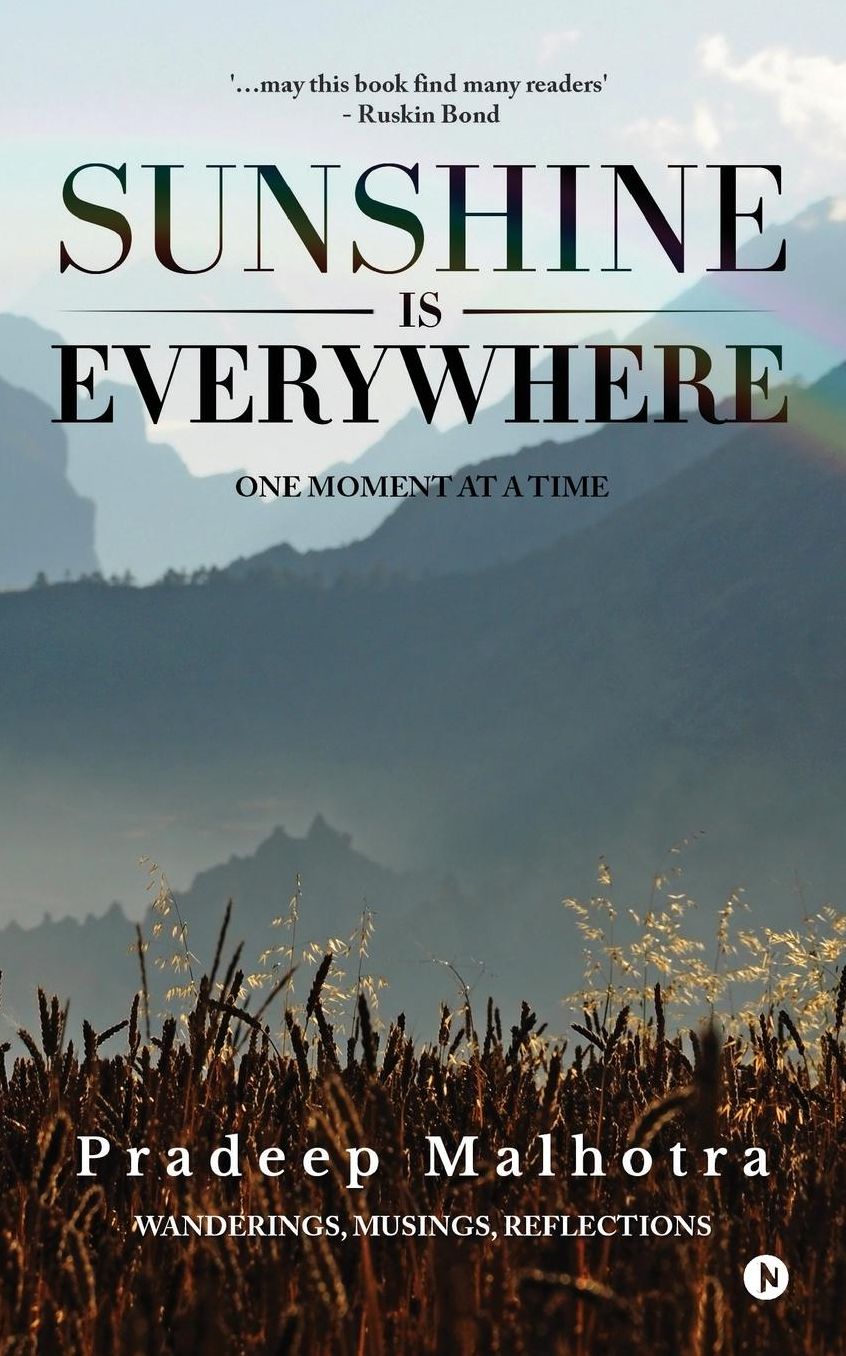 Sunshine is Everywhere: One Moment at a Time