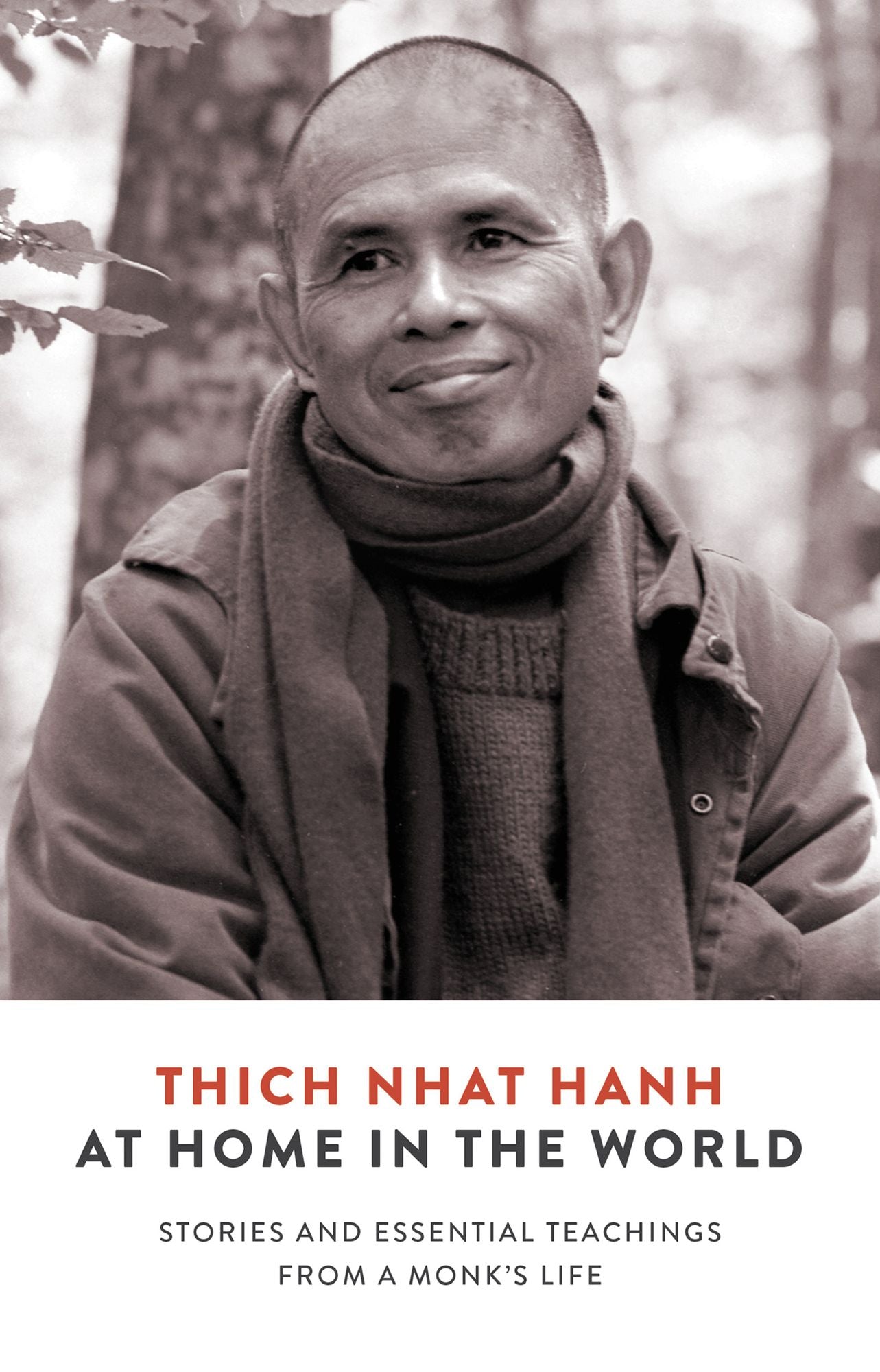 At Home in the World : Stories and Essential Teachings from a Monk's Life