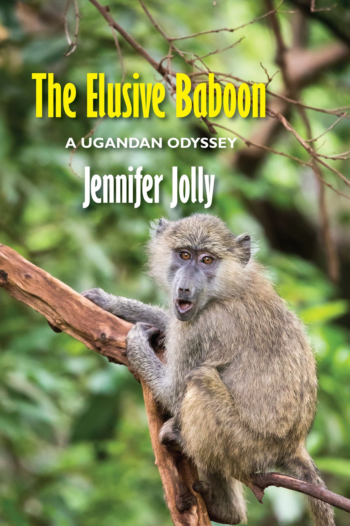 The Elusive Baboon: A Ugandan Odyssey