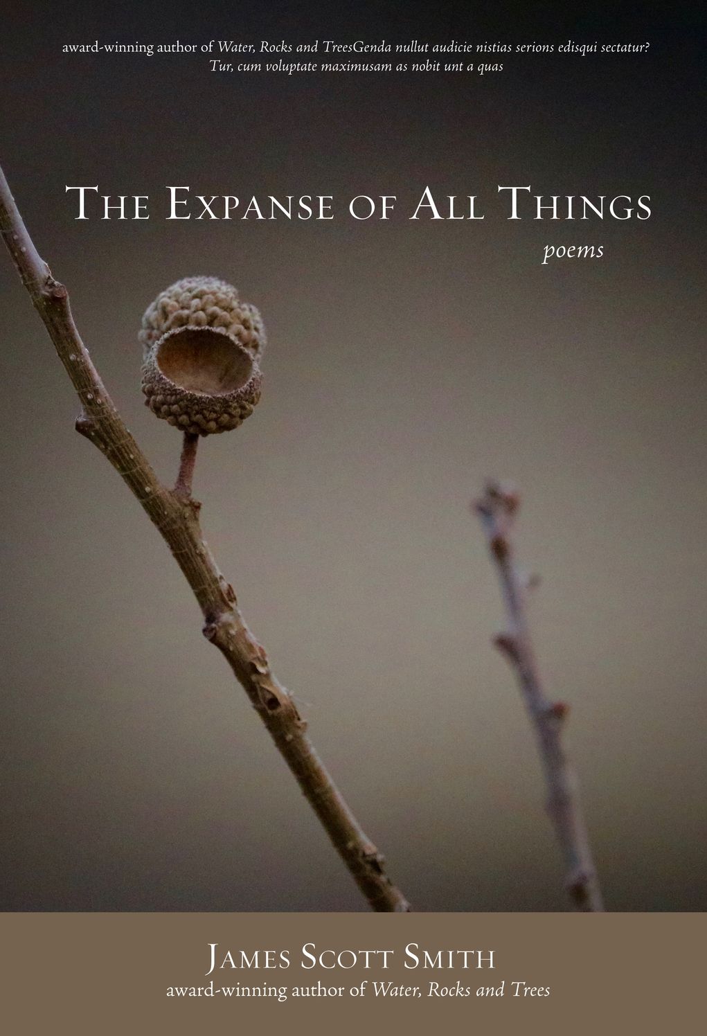 The Expanse of all Things