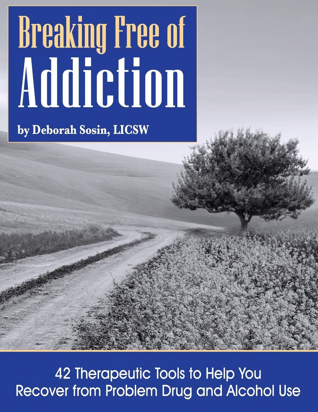 Breaking Free of Addiction: 42 Therapeutic Tools to Help You Recover from Problem Drug and Alcohol Use