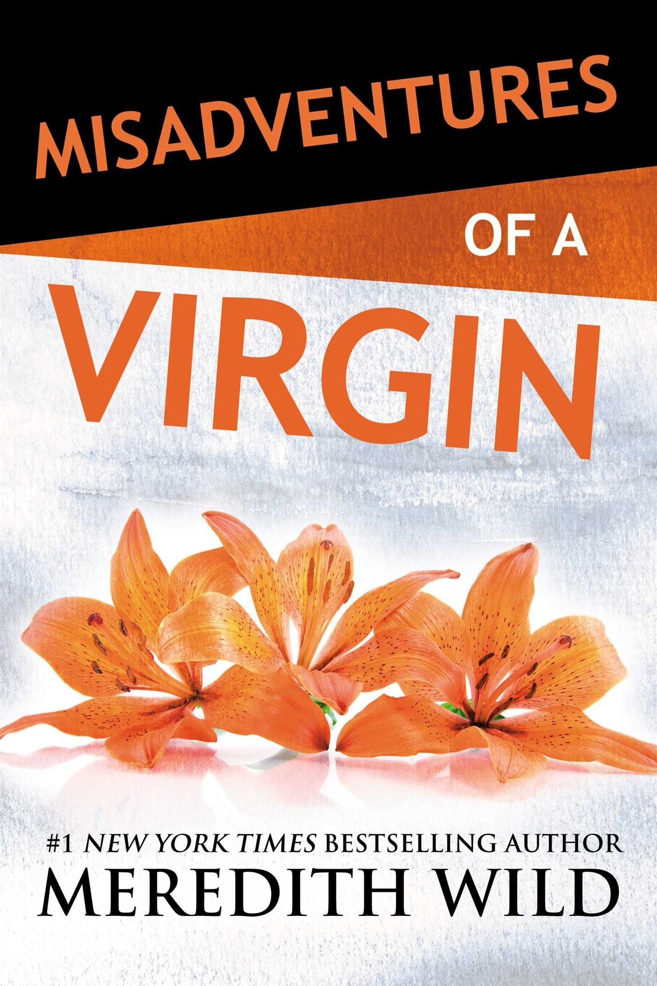 Misadventures of a Virgin (Misadventures Series #14)