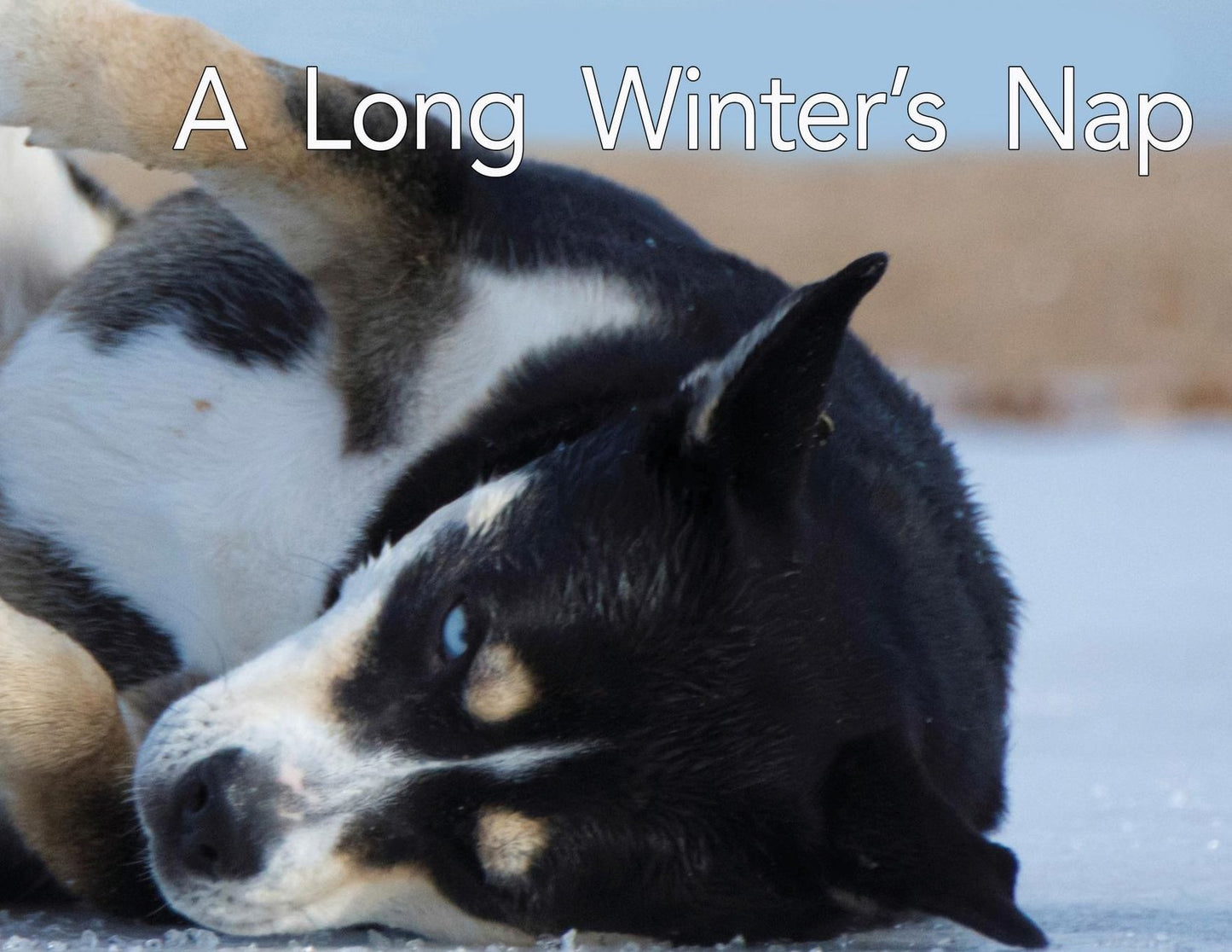 A Long Winter's Nap