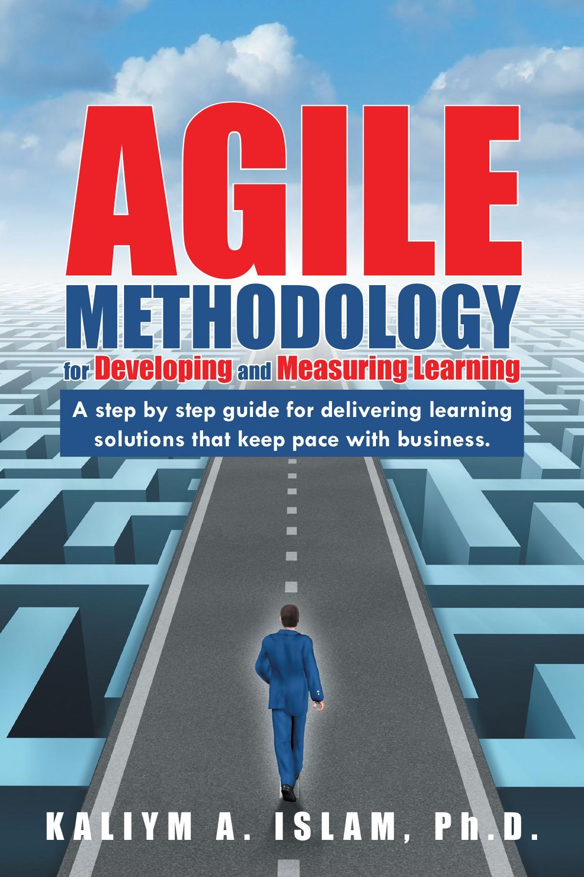 Agile Methodology for Developing and Measuring Learning: A step by step guide for delivering learning solutions that keep pace with business.
