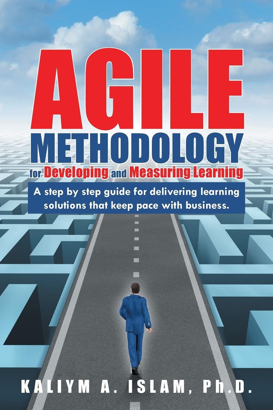 Agile Methodology for Developing and Measuring Learning: A step by step guide for delivering learning solutions that keep pace with business.