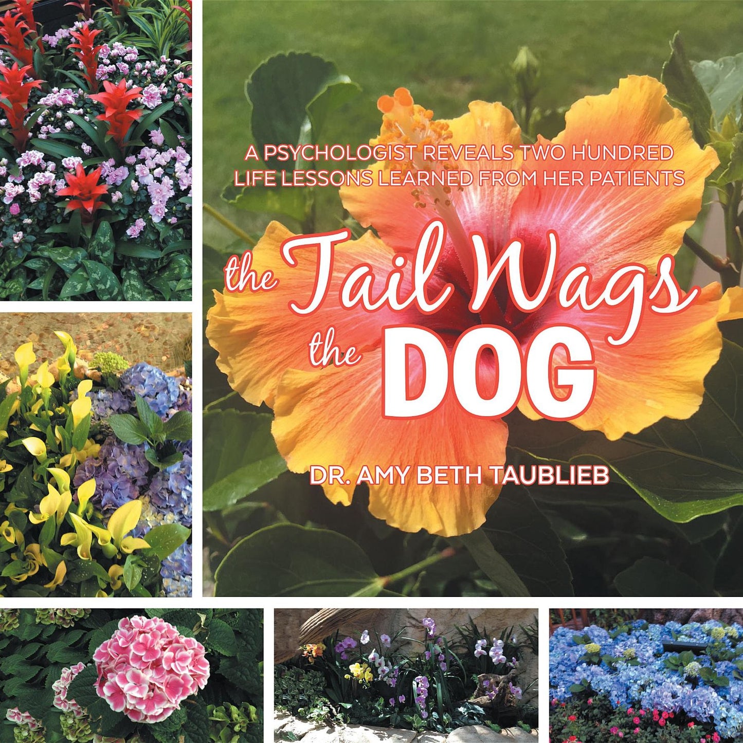 The Tail Wags the Dog: A Psychologist Reveals Two Hundred Life Lessons Learned from Her Patients