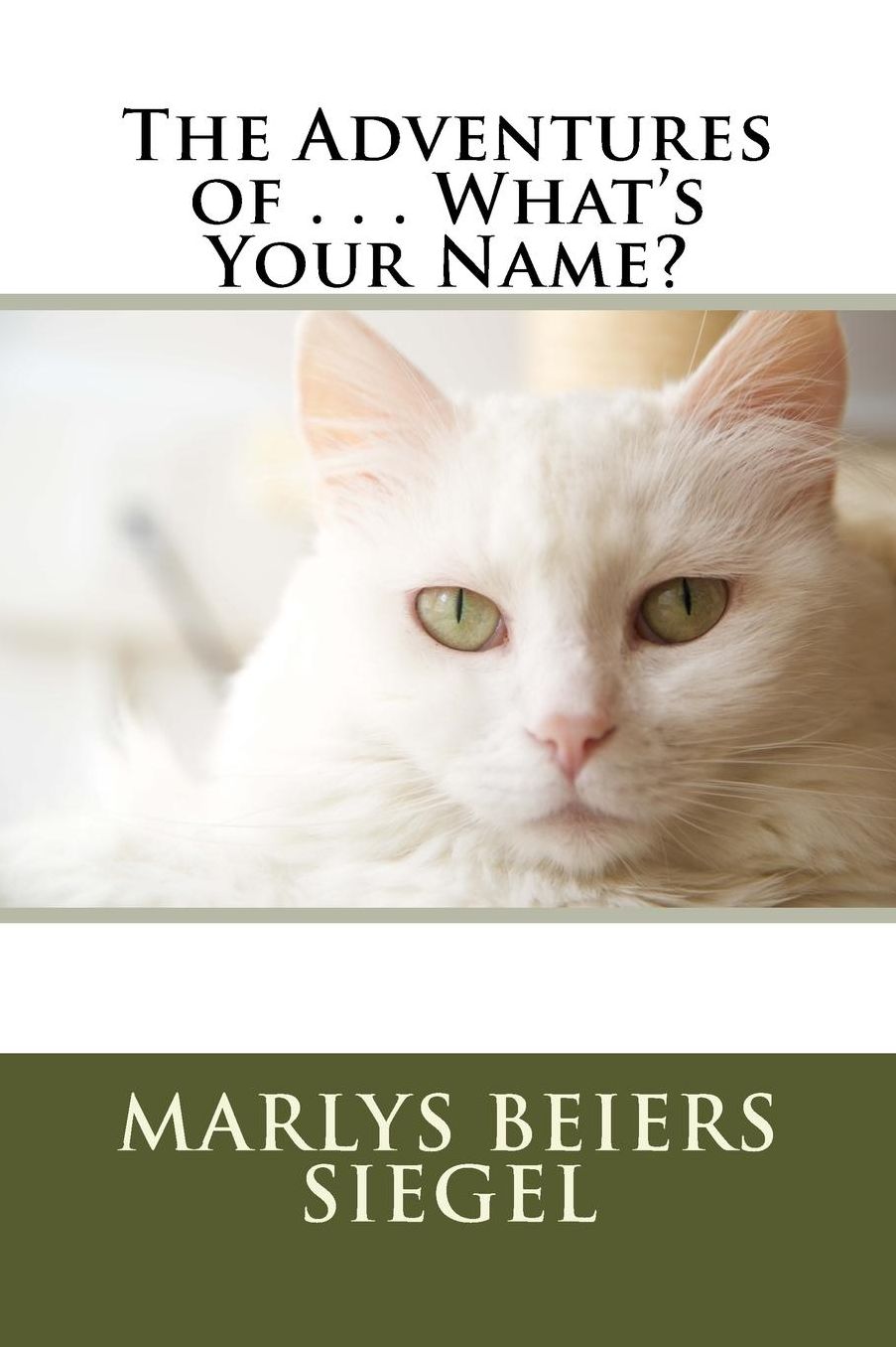 The Adventures of . . . What's Your Name?