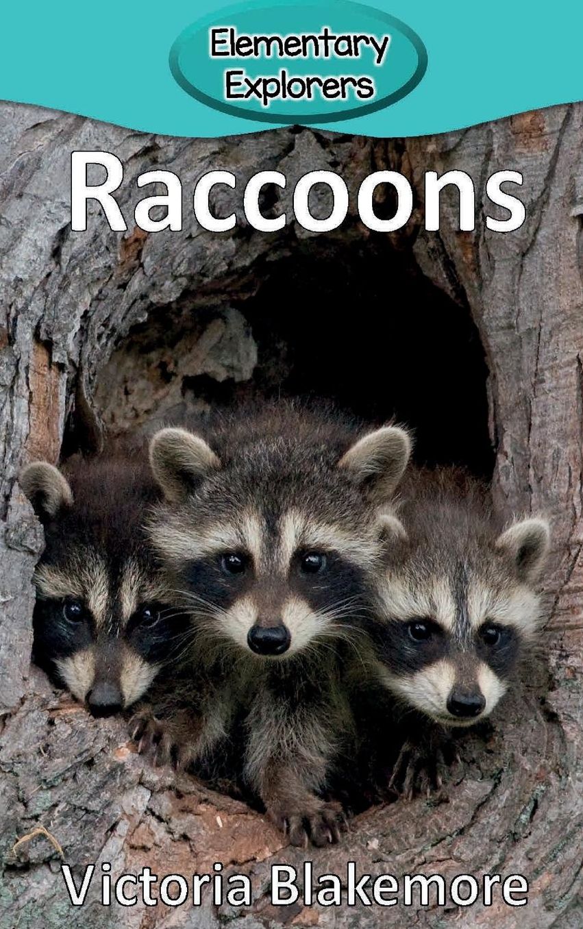 Raccoons