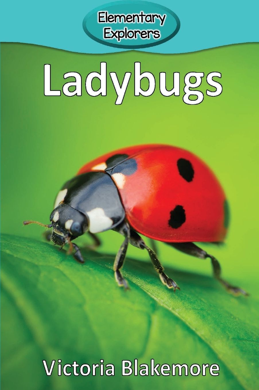 Ladybugs