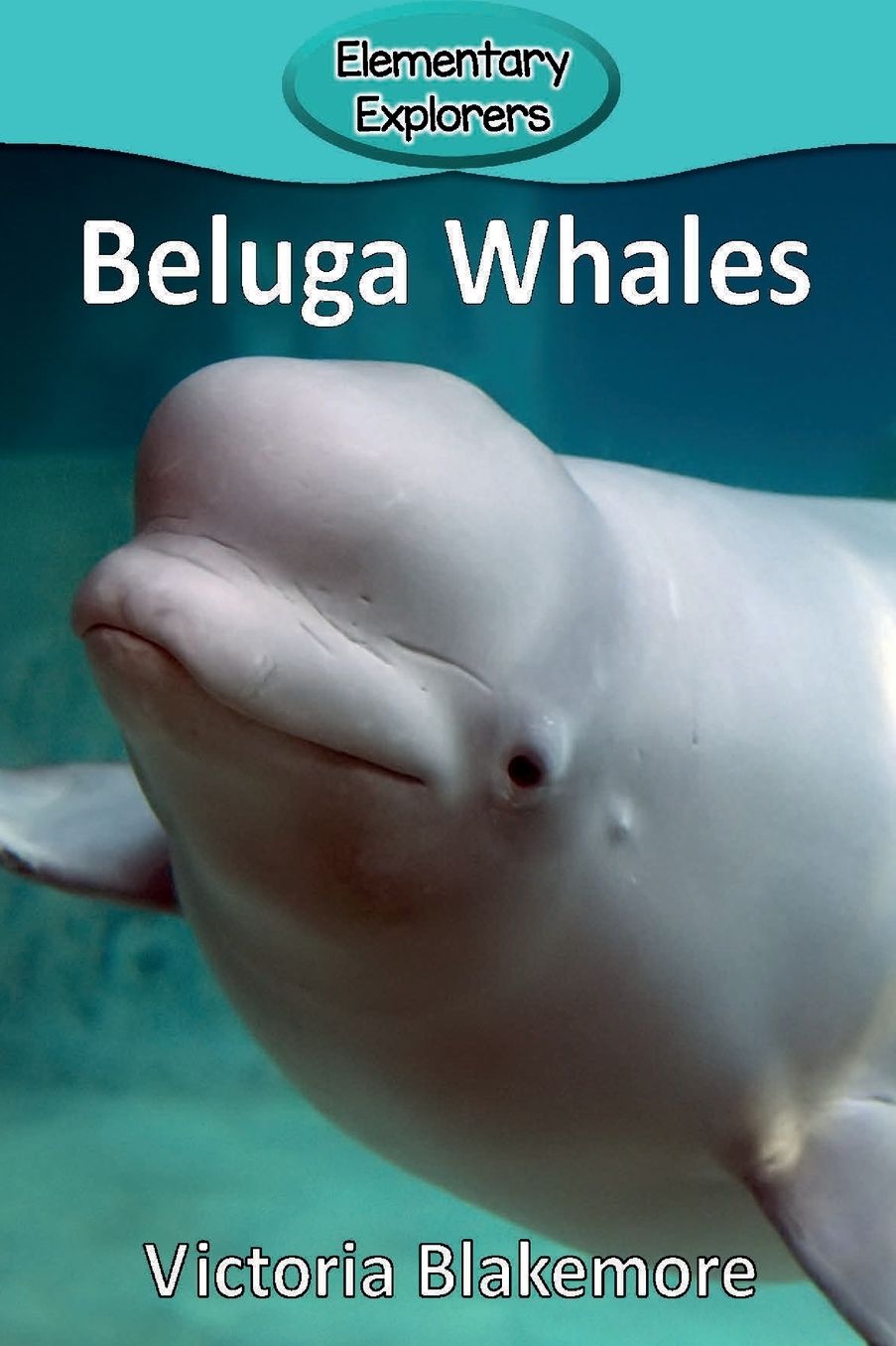 Beluga Whales