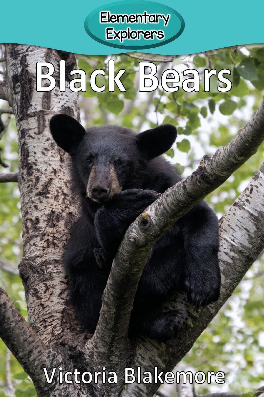 Black Bears