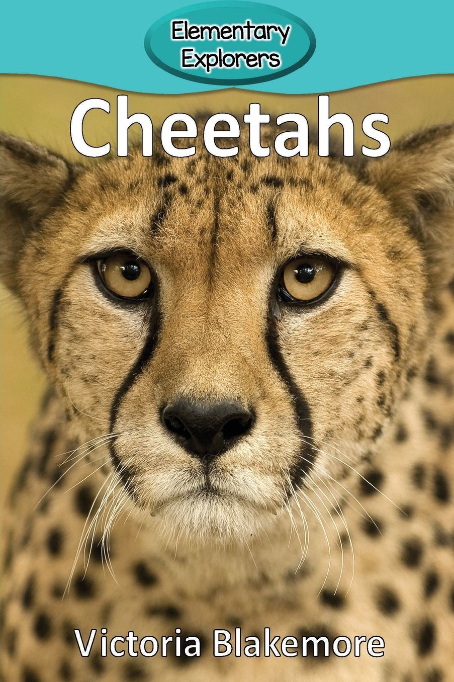 Cheetahs